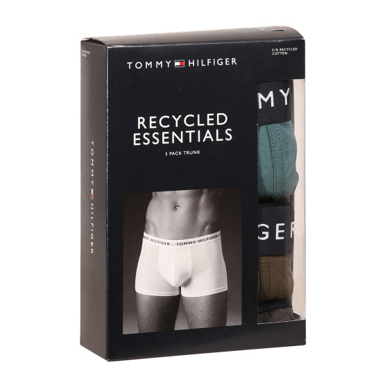 3PACK Boxershorts til mænd Tommy Hilfiger flerfarvet (UM0UM02203 0XX)