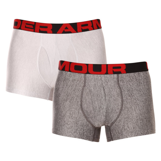 2PACK Boxershorts til mænd Under Armour grå (1363618 011)