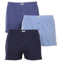 3PACK Boxershorts til mænd Andrie flerfarvet (PS 5739)