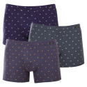 3PACK Boxershorts til mænd Andrie flerfarvet (PS 5743)