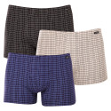 3PACK Boxershorts til mænd Andrie flerfarvet (PS 5742)