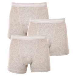 3PACK Boxershorts til mænd Calvin Klein grå (U2662G-080)