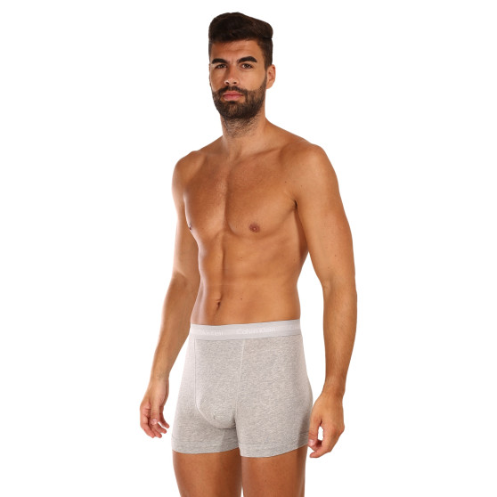 3PACK Boxershorts til mænd Calvin Klein grå (U2662G-080)