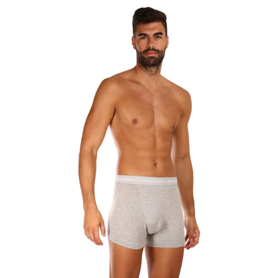 3PACK Boxershorts til mænd Calvin Klein grå (U2662G-080)