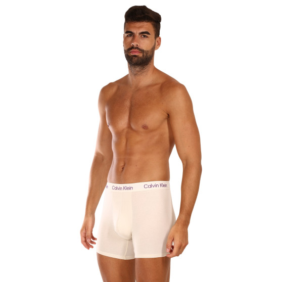 3PACK Boxershorts til mænd Calvin Klein flerfarvet (NB3706A-FZ4)