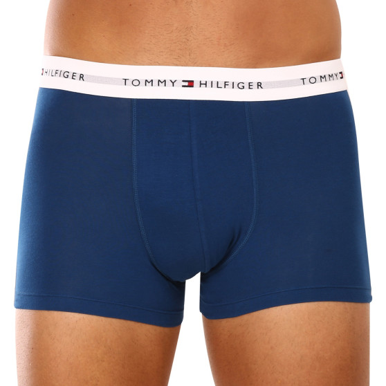 3PACK Boxershorts til mænd Tommy Hilfiger flerfarvet (UM0UM02761 0SR)