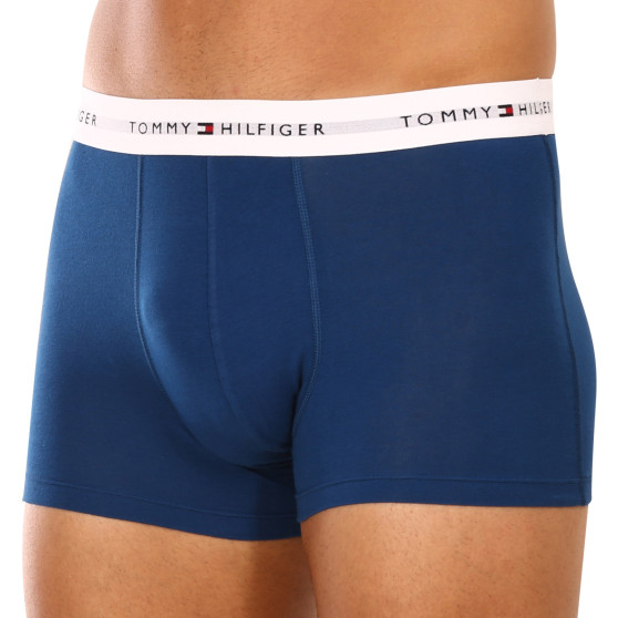 3PACK Boxershorts til mænd Tommy Hilfiger flerfarvet (UM0UM02761 0SR)