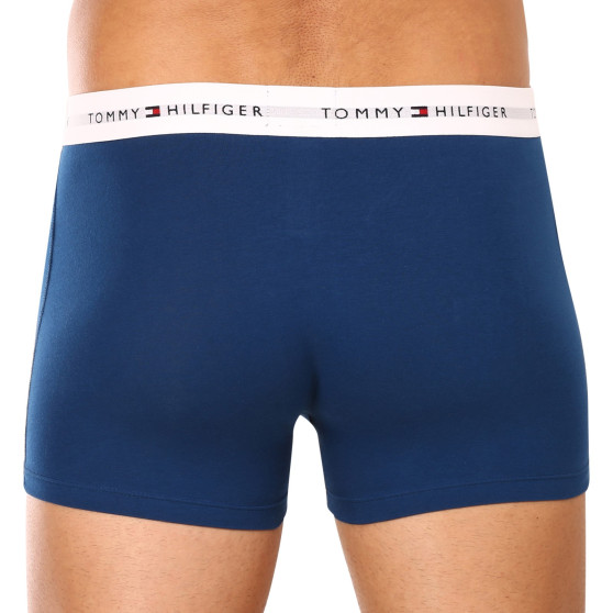 3PACK Boxershorts til mænd Tommy Hilfiger flerfarvet (UM0UM02761 0SR)