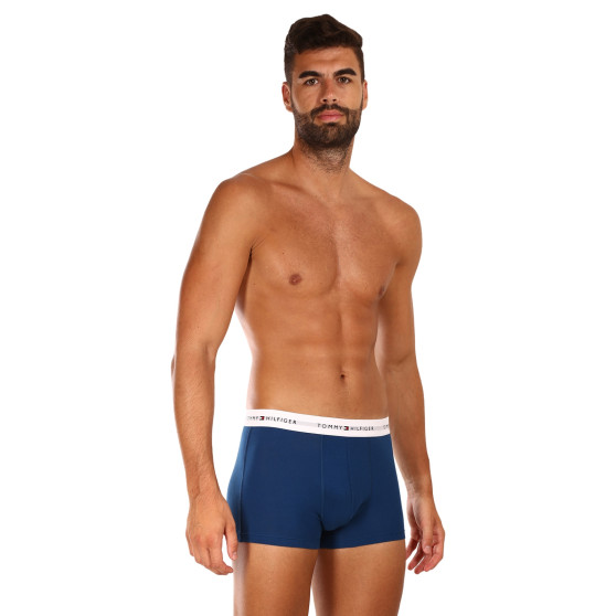 3PACK Boxershorts til mænd Tommy Hilfiger flerfarvet (UM0UM02761 0SR)