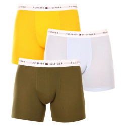 3PACK Boxershorts til mænd Tommy Hilfiger flerfarvet (UM0UM02941 0W8)