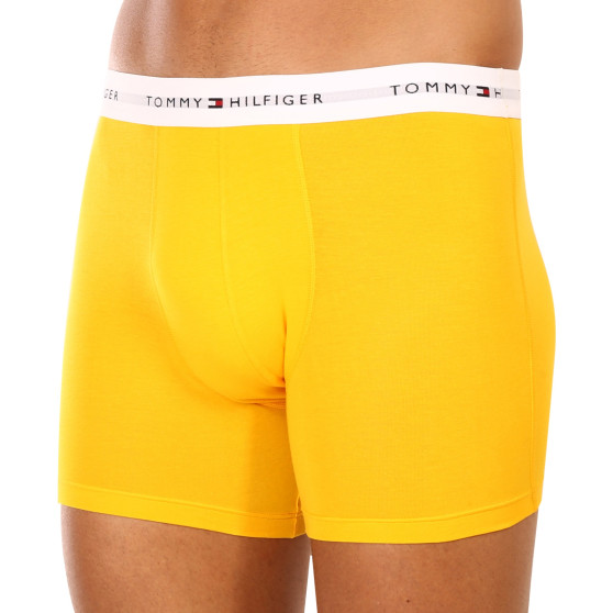 3PACK Boxershorts til mænd Tommy Hilfiger flerfarvet (UM0UM02941 0W8)