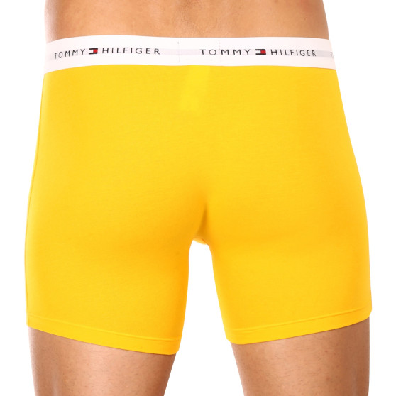 3PACK Boxershorts til mænd Tommy Hilfiger flerfarvet (UM0UM02941 0W8)