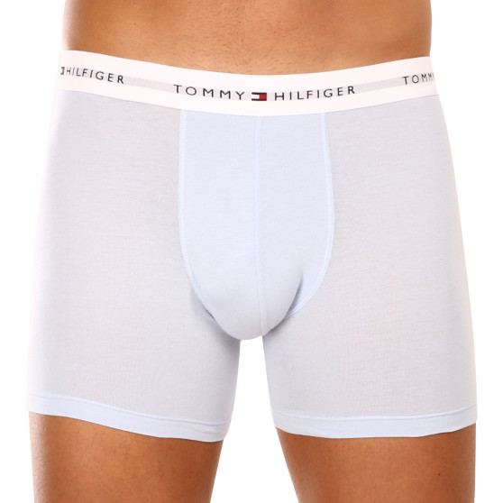 3PACK Boxershorts til mænd Tommy Hilfiger flerfarvet (UM0UM02941 0W8)