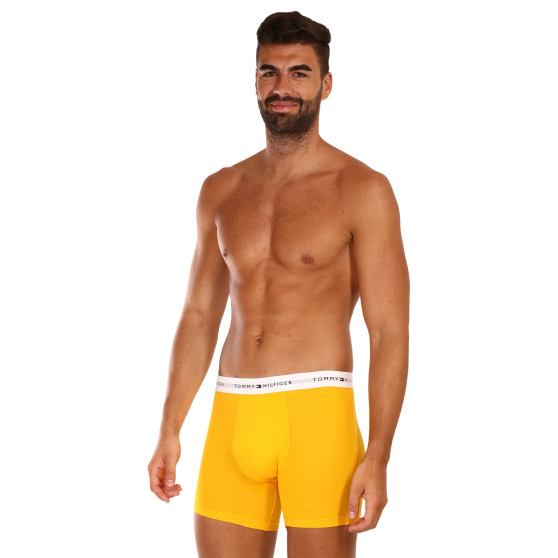 3PACK Boxershorts til mænd Tommy Hilfiger flerfarvet (UM0UM02941 0W8)