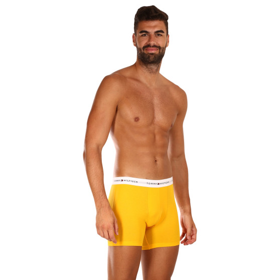 3PACK Boxershorts til mænd Tommy Hilfiger flerfarvet (UM0UM02941 0W8)