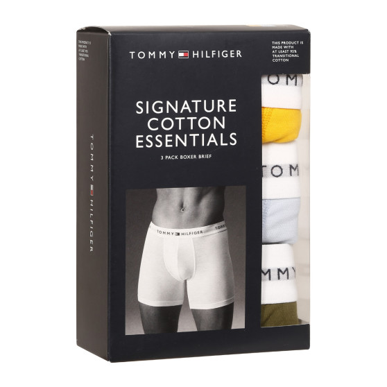 3PACK Boxershorts til mænd Tommy Hilfiger flerfarvet (UM0UM02941 0W8)