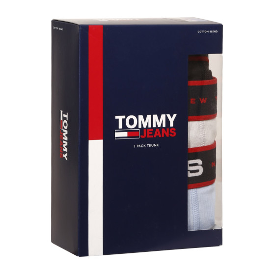 3PACK Boxershorts til mænd Tommy Hilfiger flerfarvet (UM0UM02968 0R8)