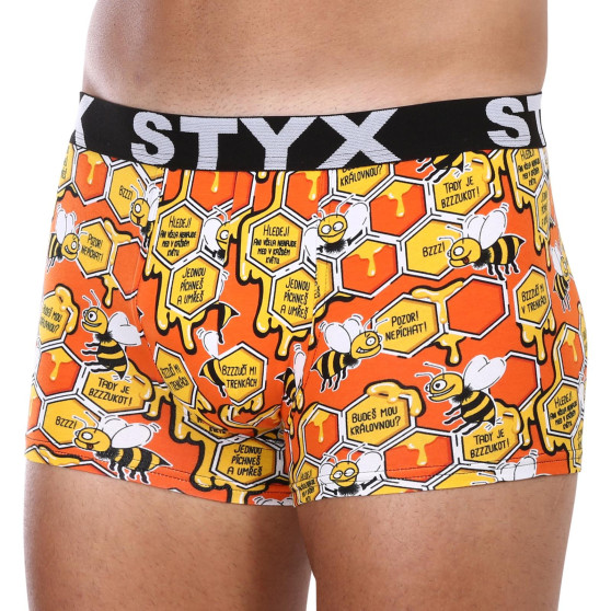 3PACK Boxershorts til mænd Styx art sports gummi overstørrelse (3R12914)