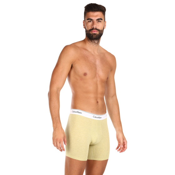 3PACK Boxershorts til mænd Calvin Klein flerfarvet (NB2381A-GW2)