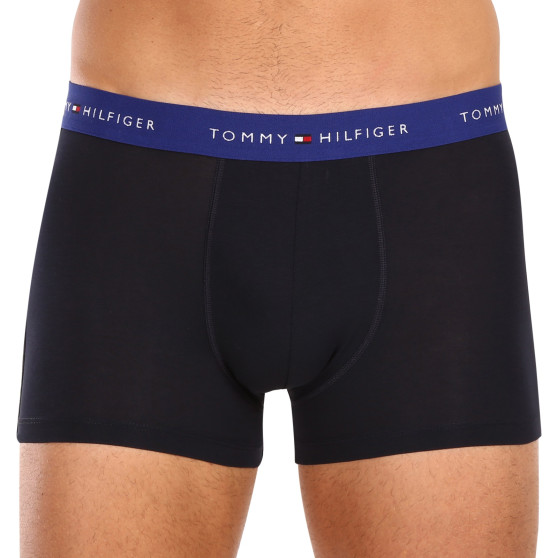 5PACK Boxershorts til mænd Tommy Hilfiger sort (UM0UM03061 0W9)