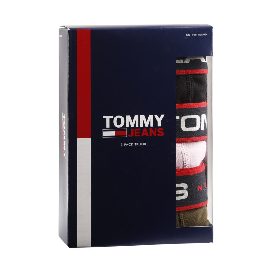 3PACK Boxershorts til mænd Tommy Hilfiger flerfarvet (UM0UM02968 0R9)