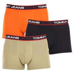 3PACK Boxershorts til mænd Tommy Hilfiger flerfarvet (UM0UM02968 0SP)