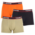 3PACK Boxershorts til mænd Tommy Hilfiger flerfarvet (UM0UM02968 0SP)