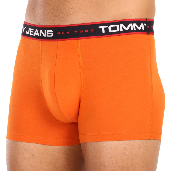 3PACK Boxershorts til mænd Tommy Hilfiger flerfarvet (UM0UM02968 0SP)