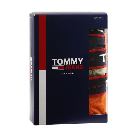 3PACK Boxershorts til mænd Tommy Hilfiger flerfarvet (UM0UM02968 0SP)