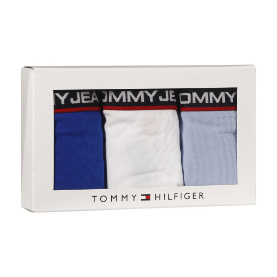 3PACK Dametrusser Tommy Hilfiger flerfarvet (UW0UW04710 0SQ)