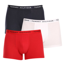 3PACK Boxershorts til mænd Tommy Hilfiger flerfarvet (UM0UM02203 0WS)