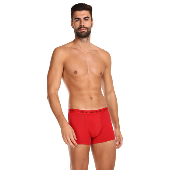 3PACK Boxershorts til mænd Tommy Hilfiger flerfarvet (UM0UM02203 0WS)