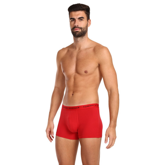 3PACK Boxershorts til mænd Tommy Hilfiger flerfarvet (UM0UM02203 0WS)