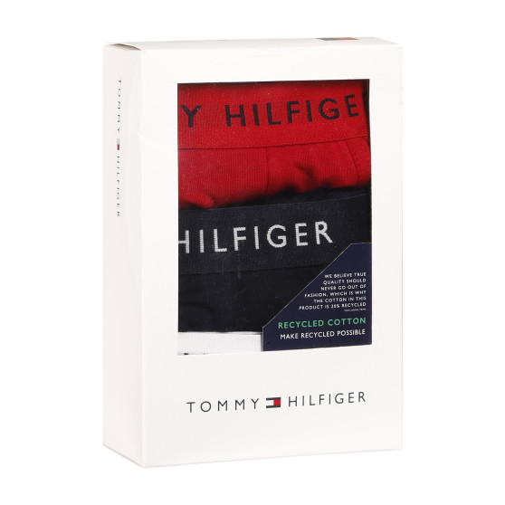 3PACK Boxershorts til mænd Tommy Hilfiger flerfarvet (UM0UM02203 0WS)