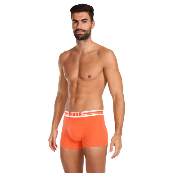 2PACK Boxershorts til mænd Puma flerfarvet (651003001 034)