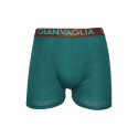 Boxershorts til mænd Gianvaglia grøn (024-green)