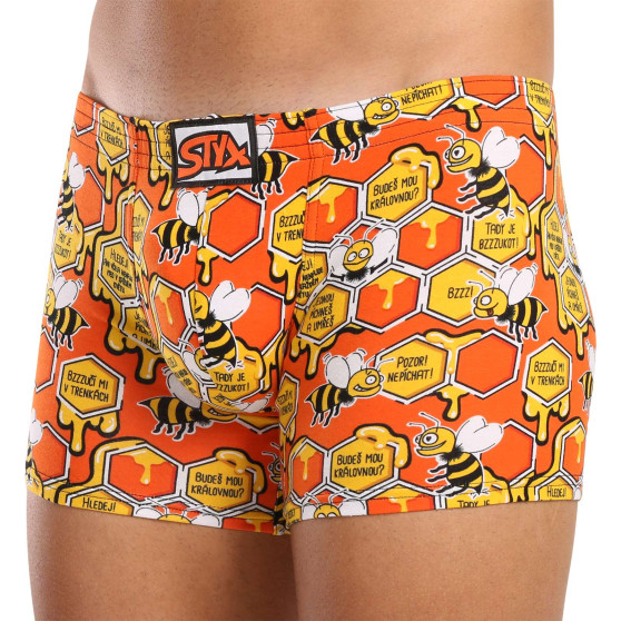 Boxershorts til mænd Styx long art klassisk gummi bees (F1654)