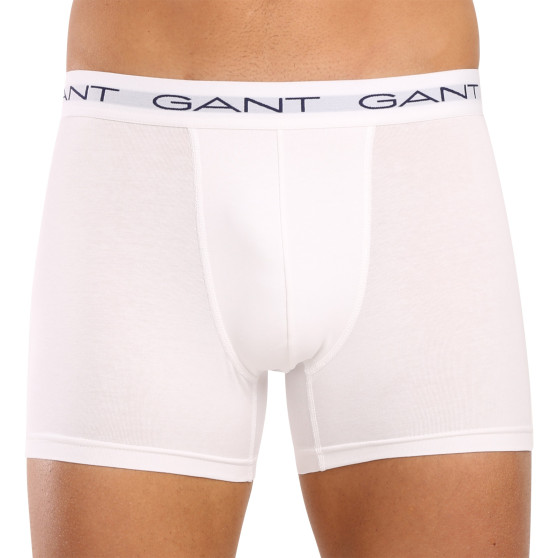 3PACK Boxershorts til mænd Gant flerfarvet (900013004-093)