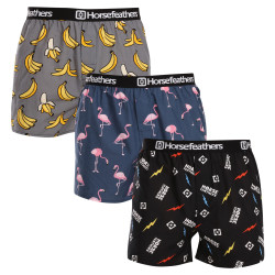 3PACK Boxershorts til mænd Horsefeathers Frazier Bundle 6 (AM096I)