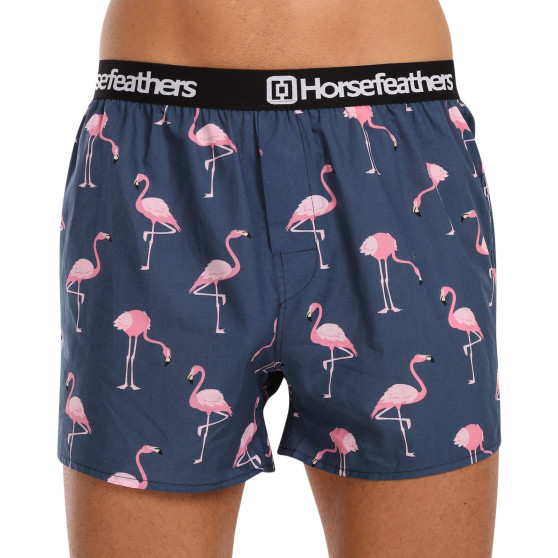 3PACK Boxershorts til mænd Horsefeathers Frazier Bundle 6 (AM096I)