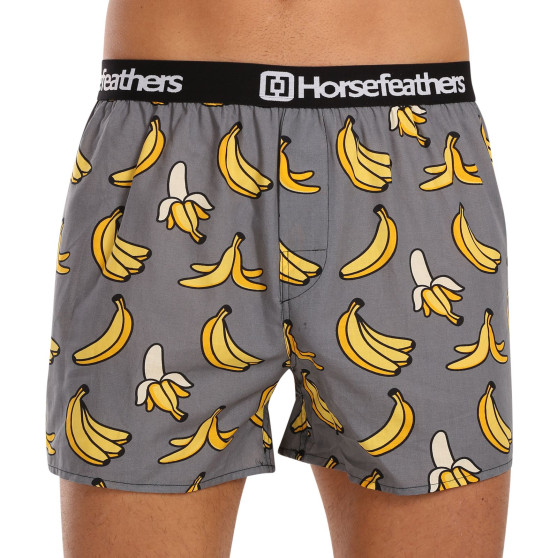 3PACK Boxershorts til mænd Horsefeathers Frazier Bundle 6 (AM096I)