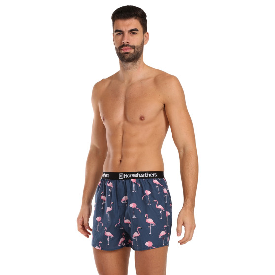 3PACK Boxershorts til mænd Horsefeathers Frazier Bundle 6 (AM096I)