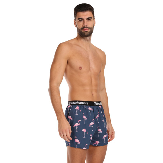 3PACK Boxershorts til mænd Horsefeathers Frazier Bundle 6 (AM096I)