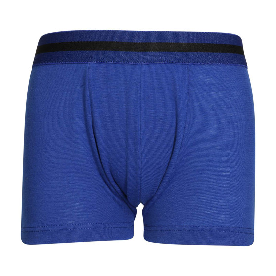 5PACK Boxershorts til børn Gianvaglia flerfarvet (023)