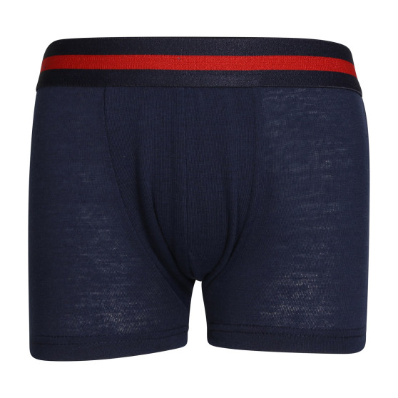 5PACK Boxershorts til børn Gianvaglia flerfarvet (023)