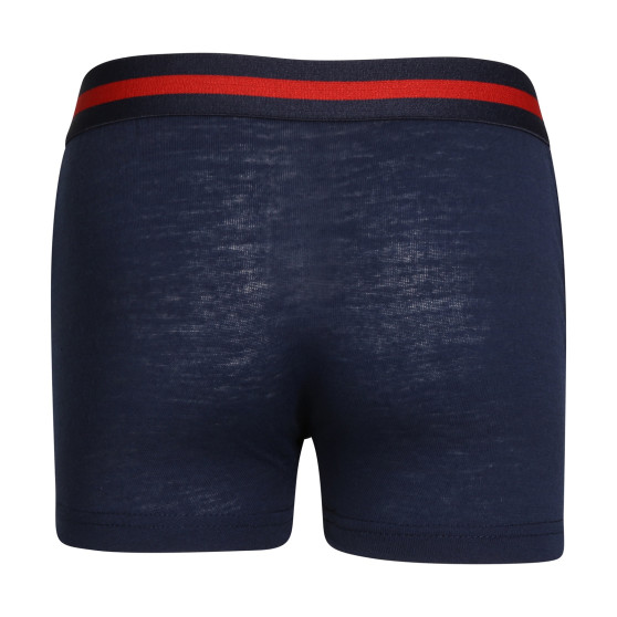 5PACK Boxershorts til børn Gianvaglia flerfarvet (023)