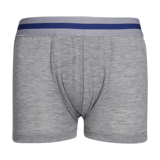 5PACK Boxershorts til børn Gianvaglia flerfarvet (023)