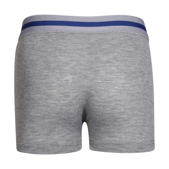 5PACK Boxershorts til børn Gianvaglia flerfarvet (023)