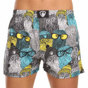 Boxershorts til mænd Represent eksklusiv Ali Owls Cool (R3M-BOX-0642)