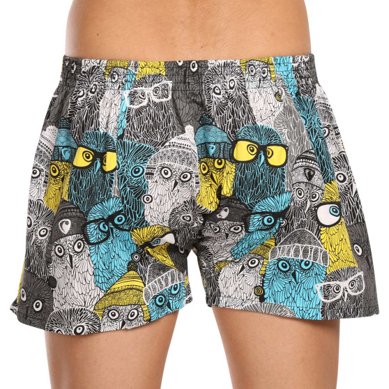 Boxershorts til mænd Represent eksklusiv Ali Owls Cool (R3M-BOX-0642)